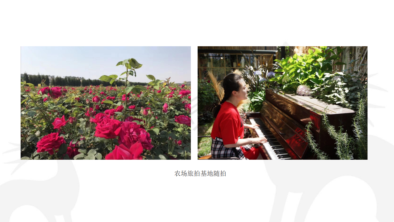 1#带上爸妈去旅行# 昆明-大理-沙溪6日游_24