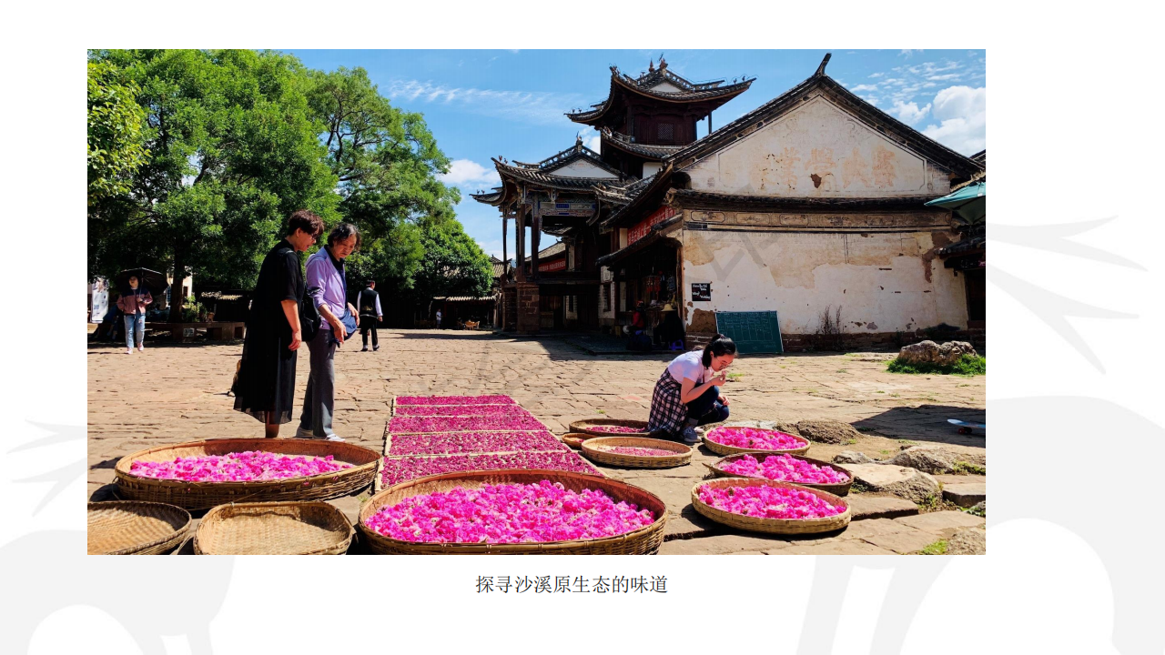 1#带上爸妈去旅行# 昆明-大理-沙溪6日游_33